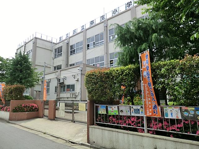 Primary school. 240m until Yayoi elementary school
