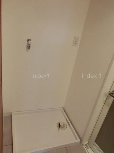 Wash basin, toilet. There is also indoor washing machine Storage