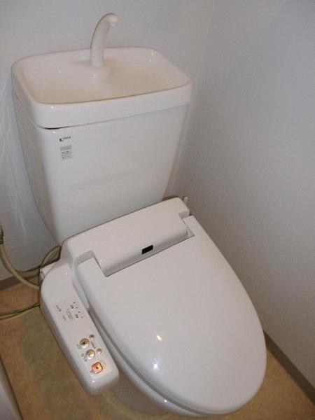 Toilet. Antibacterial deodorizing function shower toilet