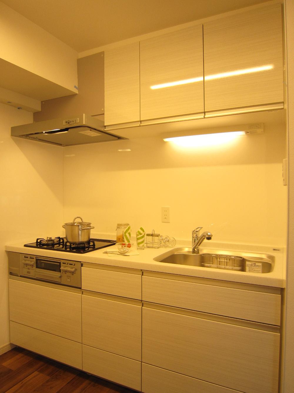 Kitchen. Indoor (11 May 2013) Shooting