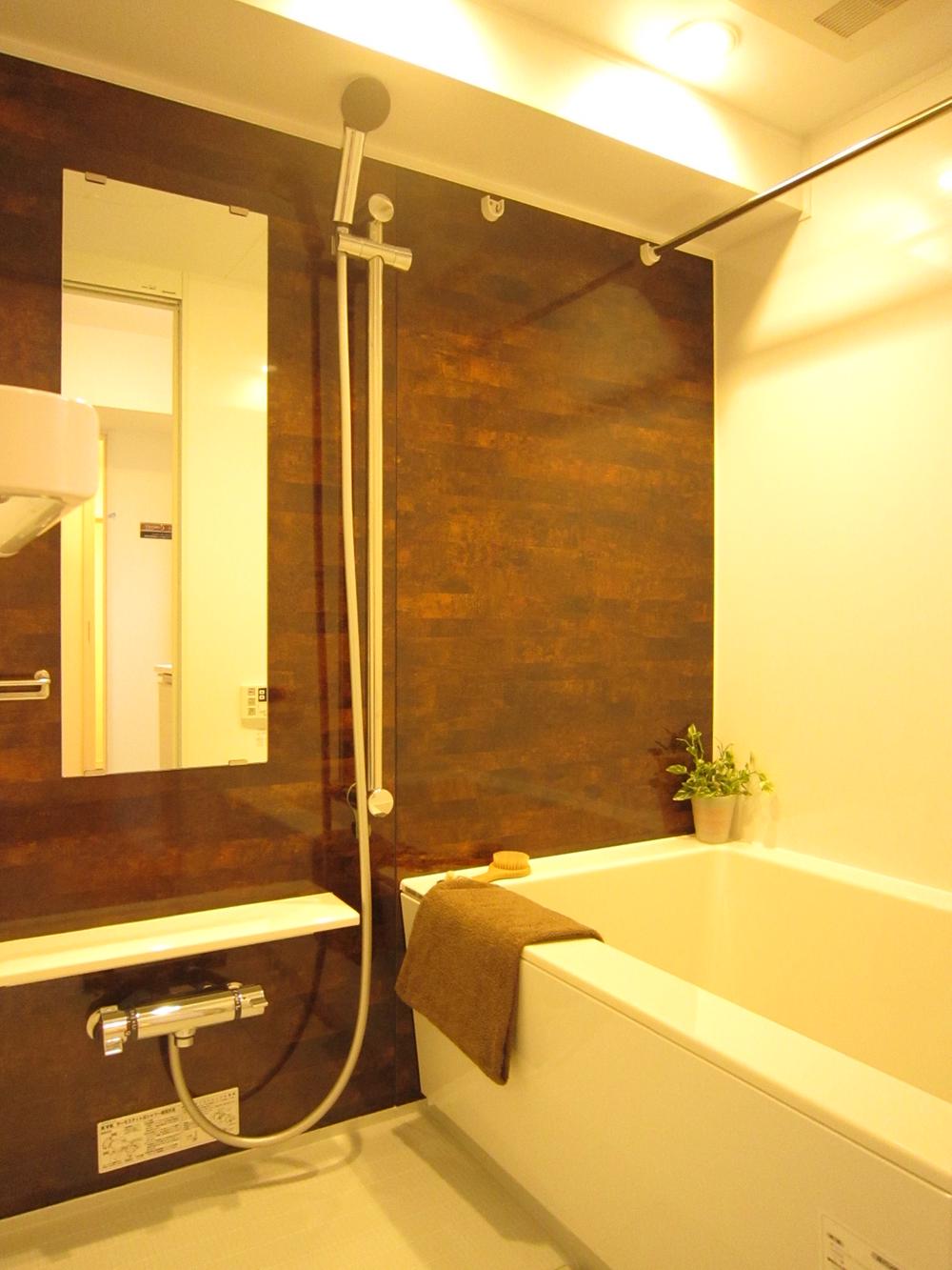 Bathroom. Indoor (11 May 2013) Shooting