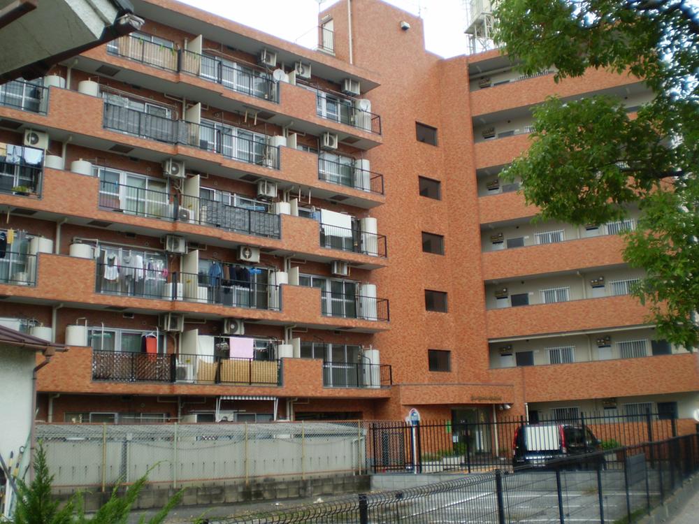 Local appearance photo. Local (10 May 2013) Shooting