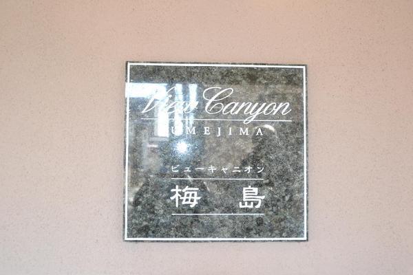 Other common areas. Mansion relief