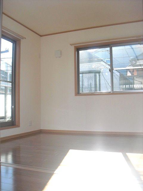 Other introspection. Western style room