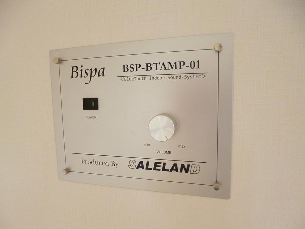 Other. Music of good quality to listen while are in the living room in the Bluetooth! !