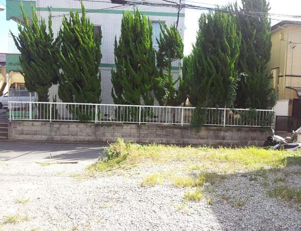 Local photos, including front road. Yang per good