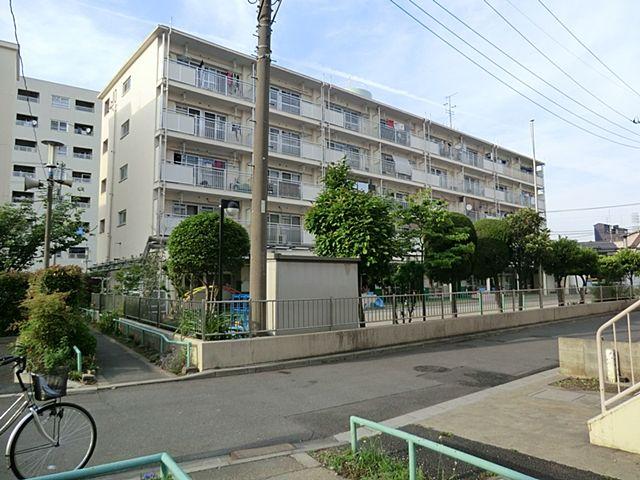 Other. Yazaike nursery