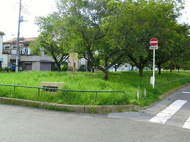 Other. Jiangbei northern green road park