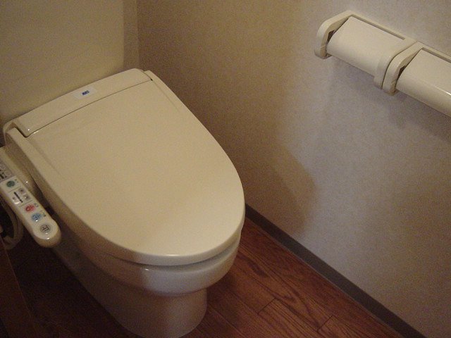 Toilet