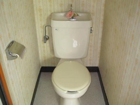 Toilet. Toilet