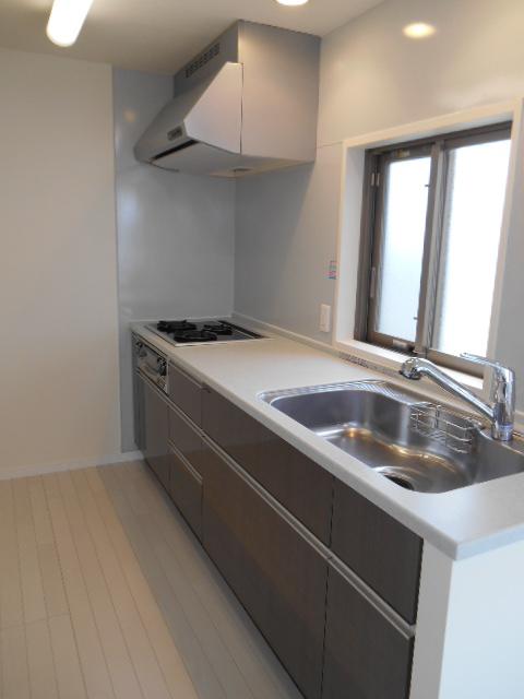 Kitchen. Indoor (11 May 2013) Shooting