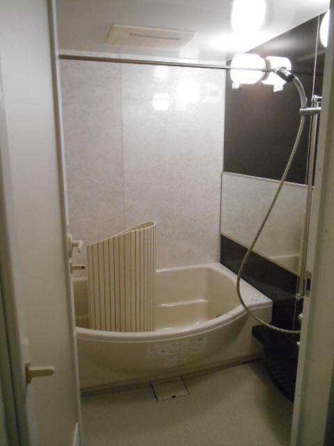 Bathroom. Indoor (11 May 2013) Shooting