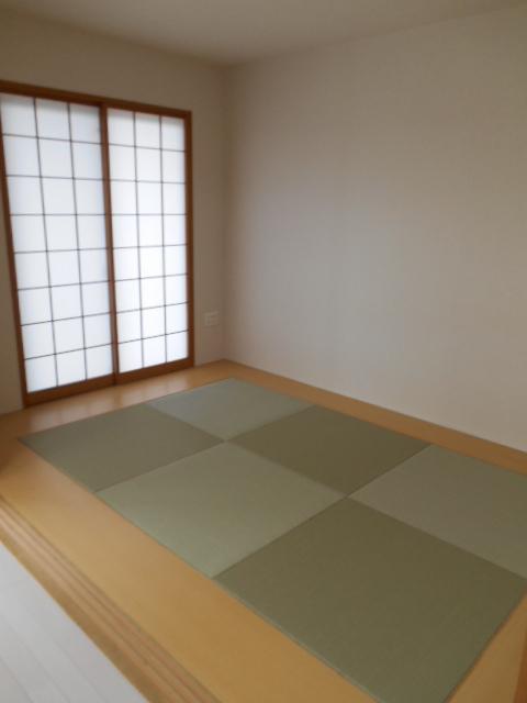 Non-living room. Japanese-style room (11 May 2013)