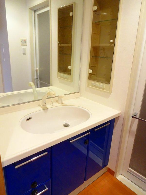 Wash basin, toilet. Bathroom vanity