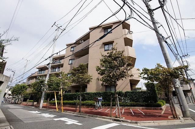 Local appearance photo. Local (September 2013) Shooting