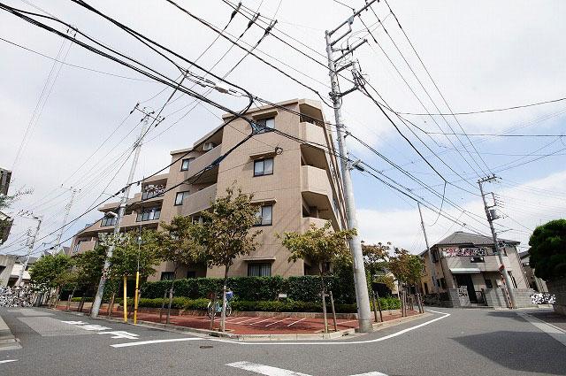 Local appearance photo. Local (September 2013) Shooting