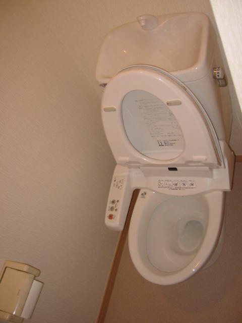 Toilet. Toilet with a cleaning toilet seat