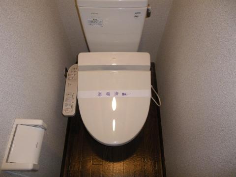 Toilet. Toilet