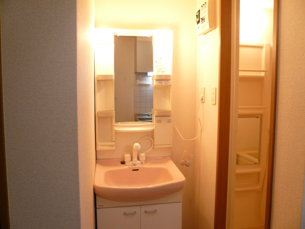 Washroom. Vanity with a convenient shower