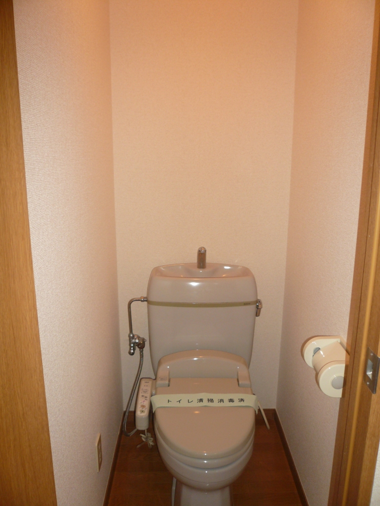 Toilet. Toilet with hot cleaning function