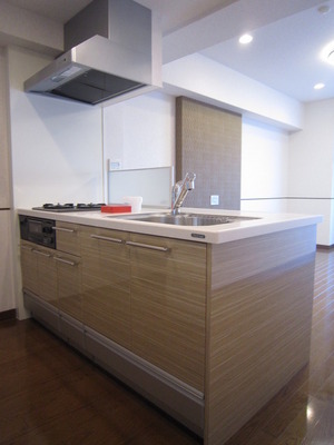 Kitchen. A feeling of opening party kitchen specification (with disposer)