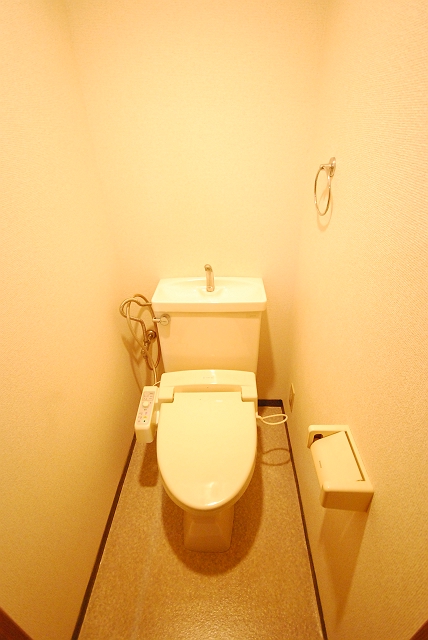 Toilet. With Washlet