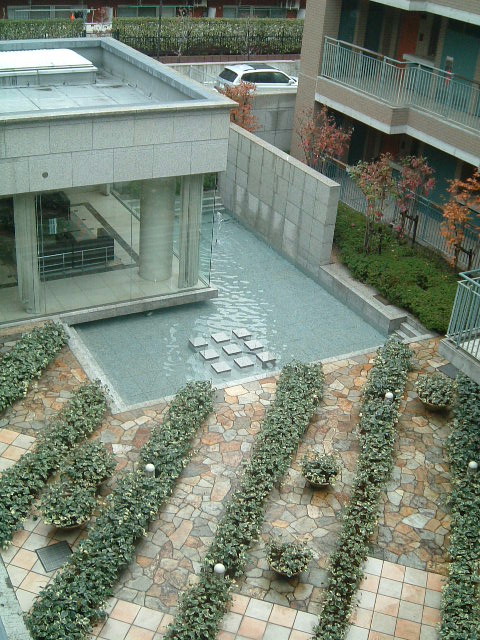 Garden. courtyard