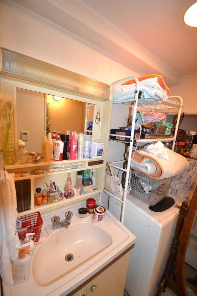 Wash basin, toilet. Bathroom vanity