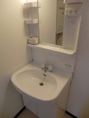 Washroom. With separate wash basin