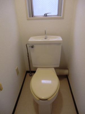 Toilet. Western-style toilet