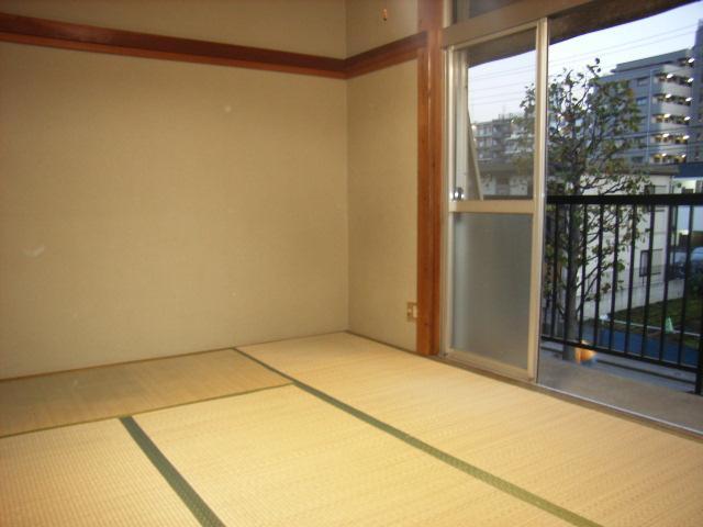 Living and room. Japanese-style room (2)