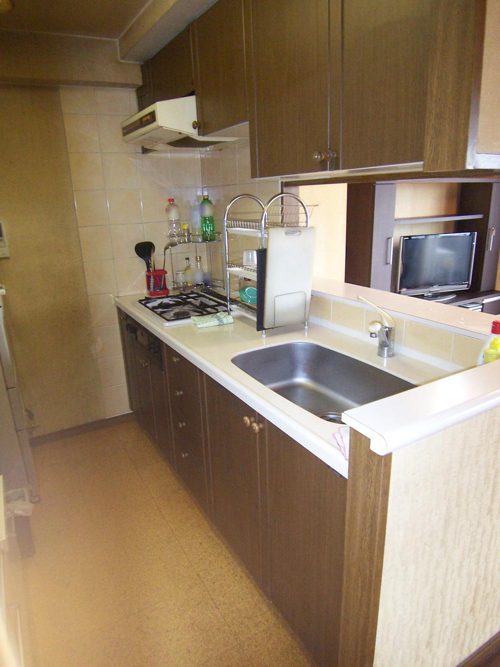 Kitchen. Indoor (March 2013) Shooting