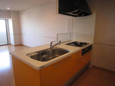 Kitchen. Open-minded party kitchen (with disposer)