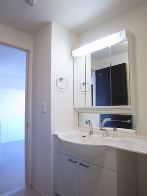 Washroom. Wide size Bathroom Vanity