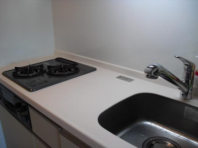 Kitchen. Indoor (April 2013) Shooting