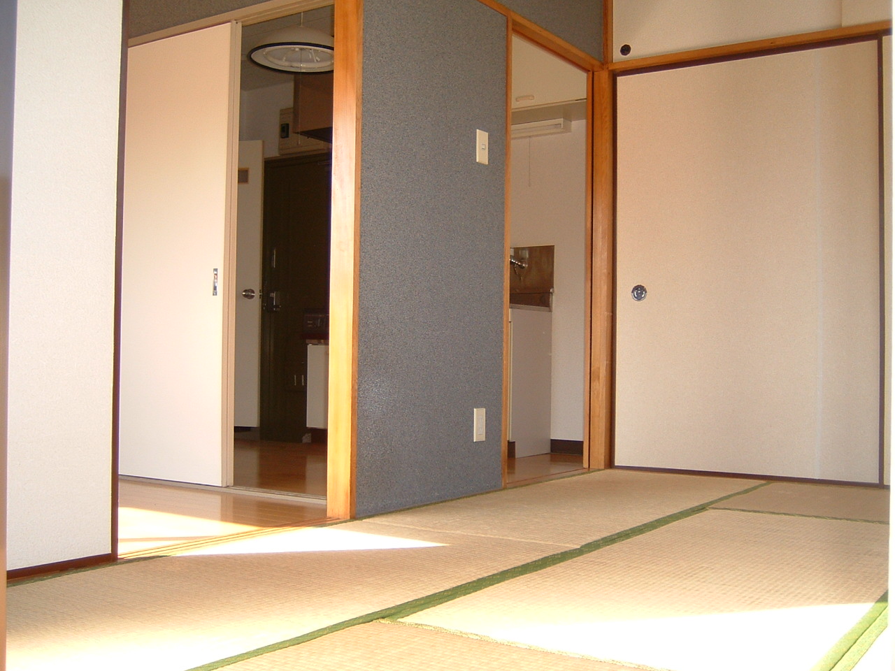 Living and room. It is calm Japanese-style room.