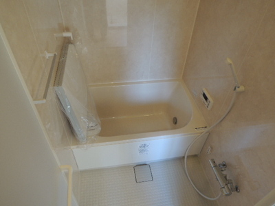 Bath. Bathroom of reheating hot water supply also is a new article!