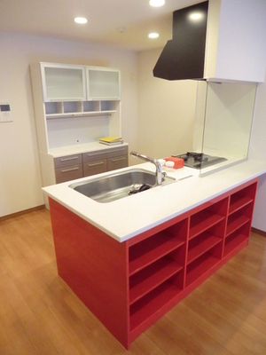 Kitchen. Counter system with kitchen disposer