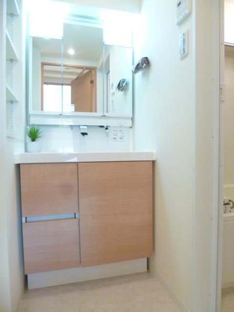 Wash basin, toilet. Vanity shower faucet