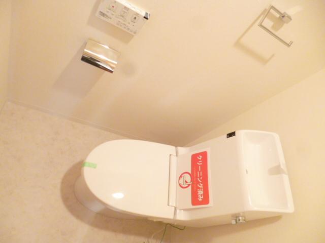 Toilet. Shower toilet