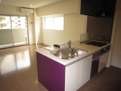 Kitchen. Counter system with kitchen disposer