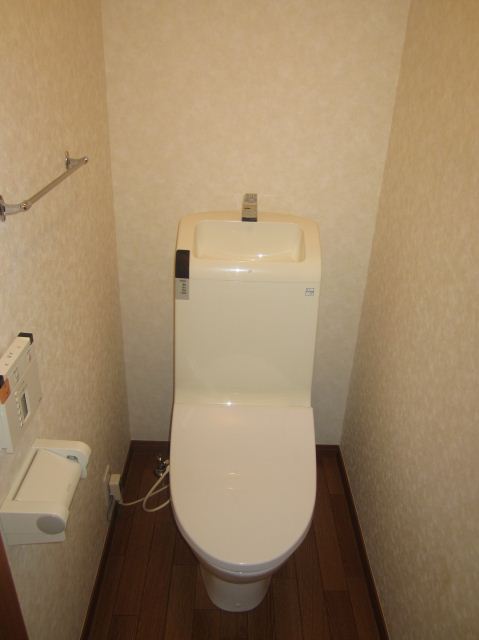 Toilet. Toilet with cleanliness