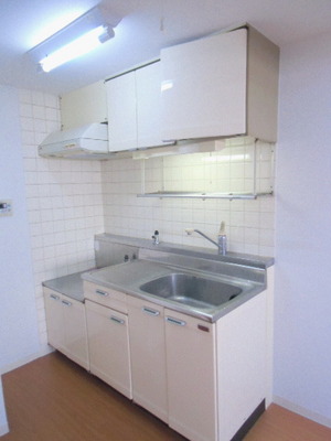 Kitchen. Gasukitchin two-necked installation Allowed