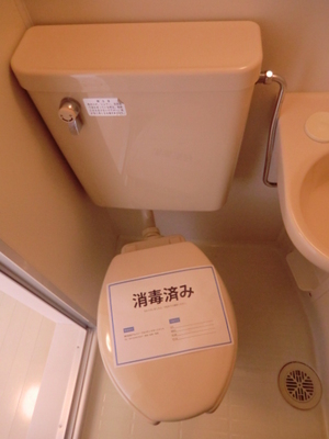 Toilet. Western-style toilet