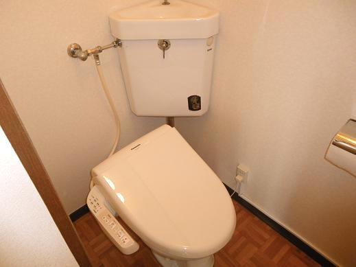 Toilet. Toilet