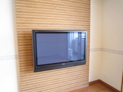 Other Equipment. 42 inches plasma TV with (with HDD recording function)