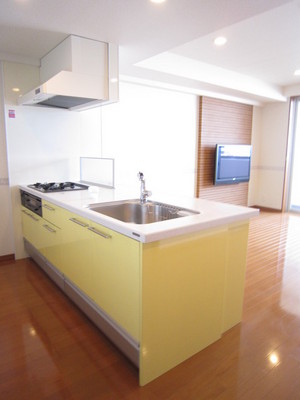 Kitchen. A feeling of opening party kitchen specification (with disposer)