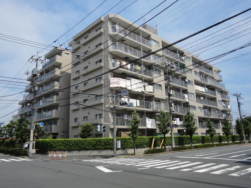 Local appearance photo. Local (August 2013) Shooting