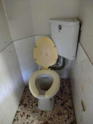 Toilet