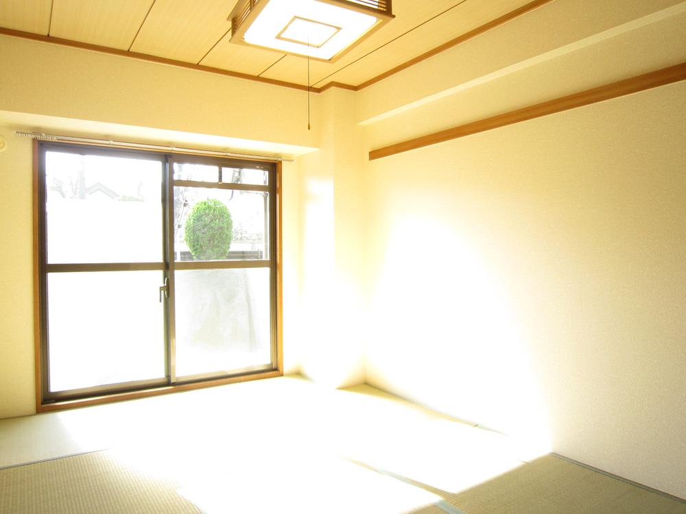 Non-living room. Indoor (12 May 2013) Shooting